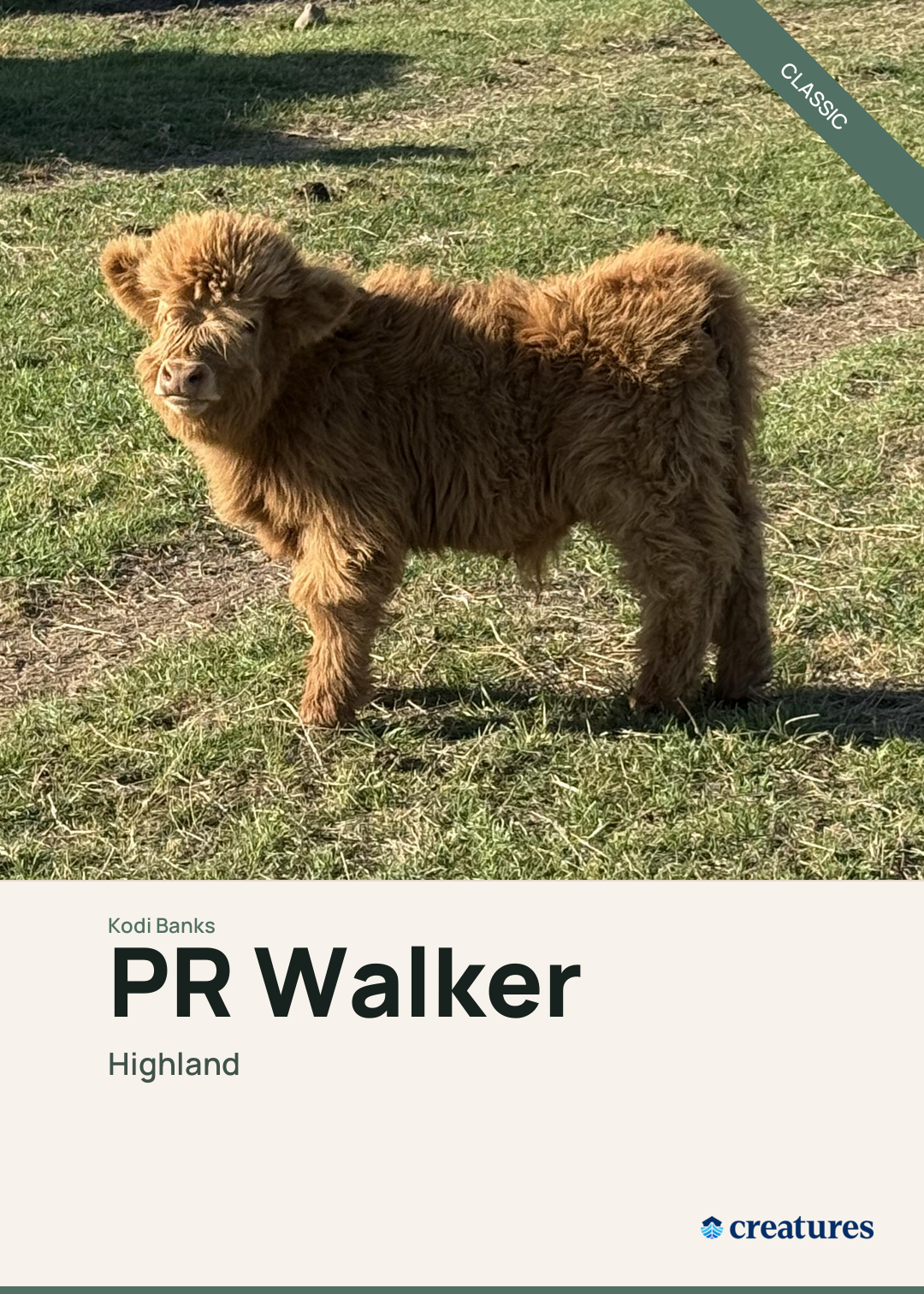 PR Walker Creature Card