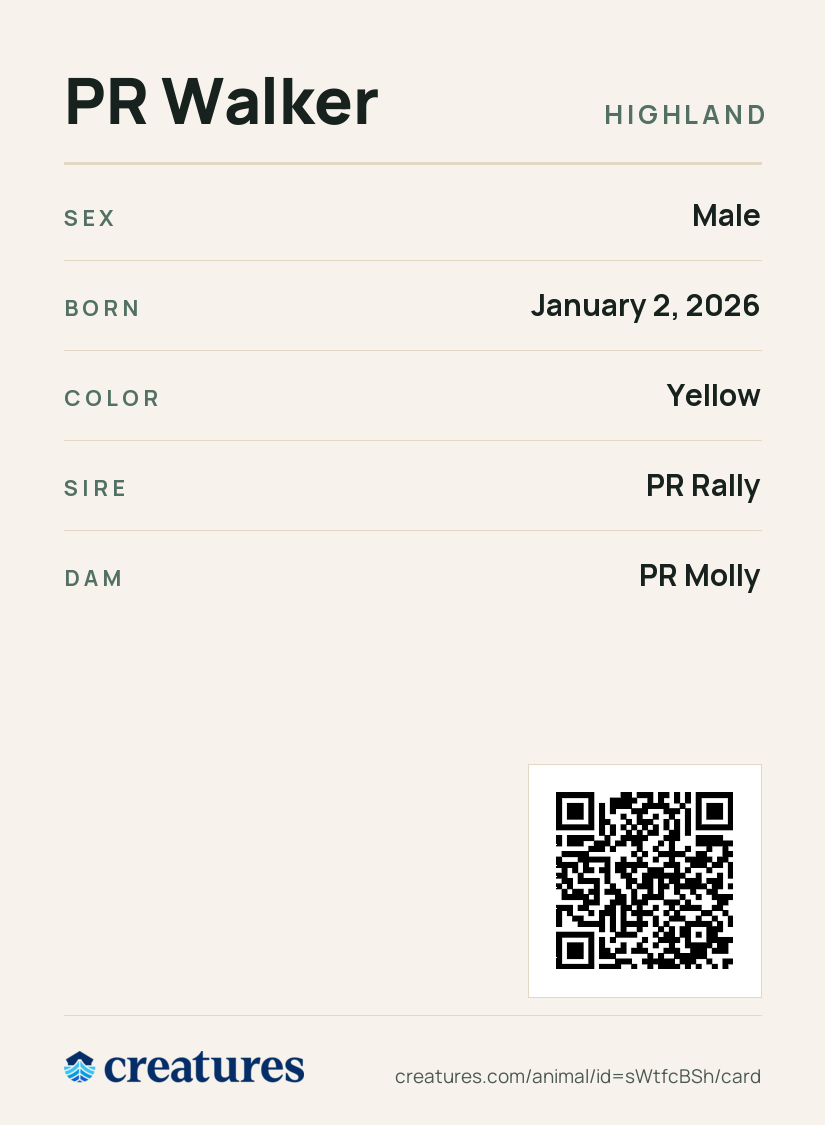 PR Walker Creature Card back