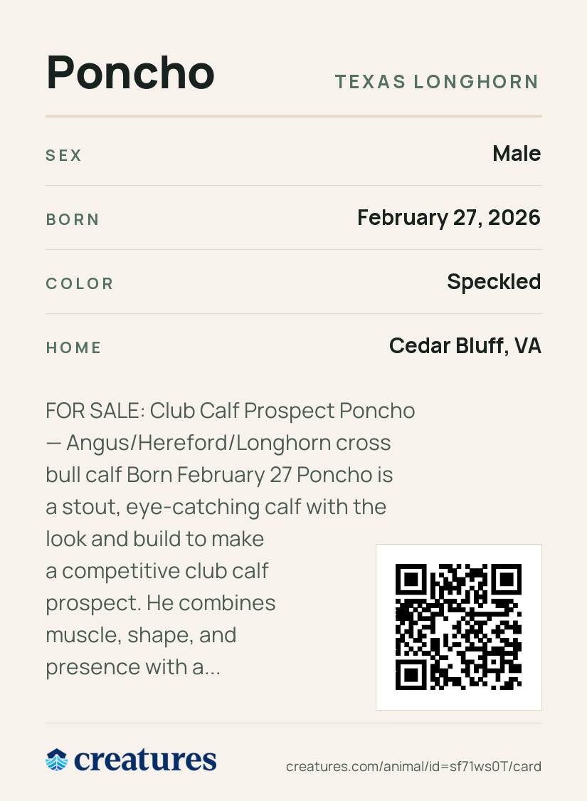 Poncho Creature Card back