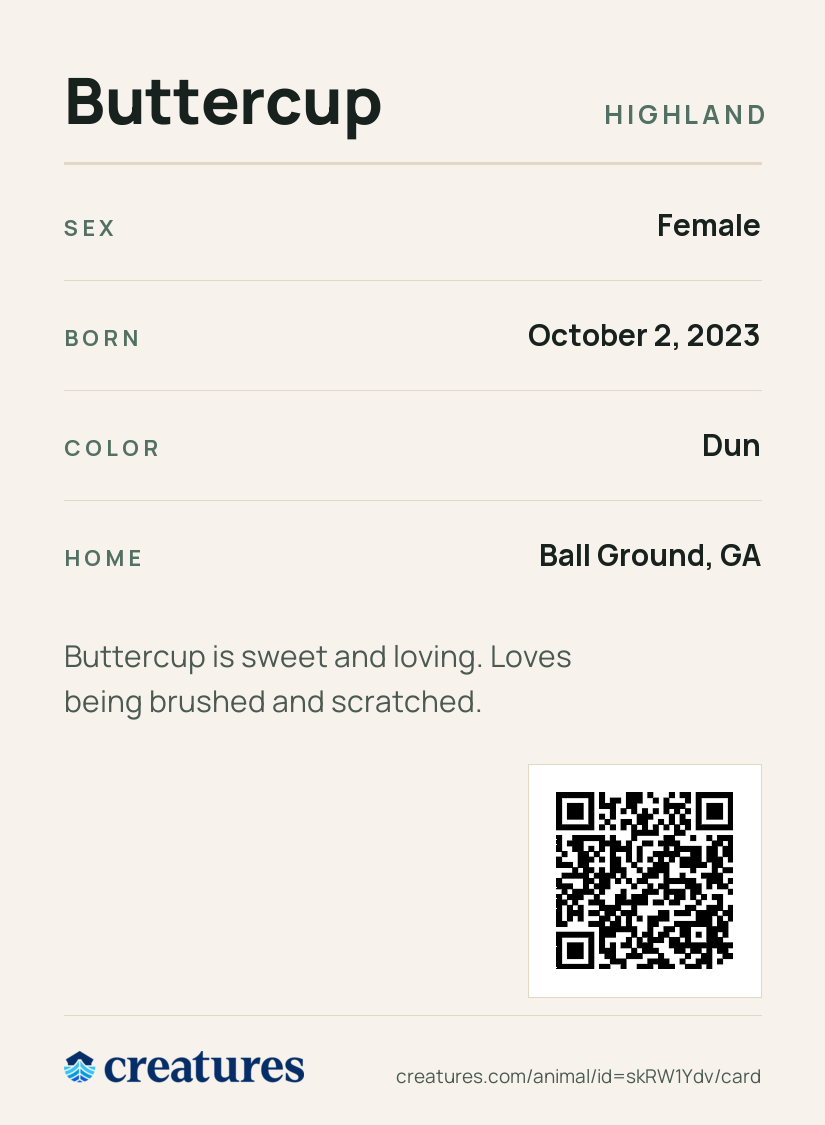 Buttercup Creature Card back