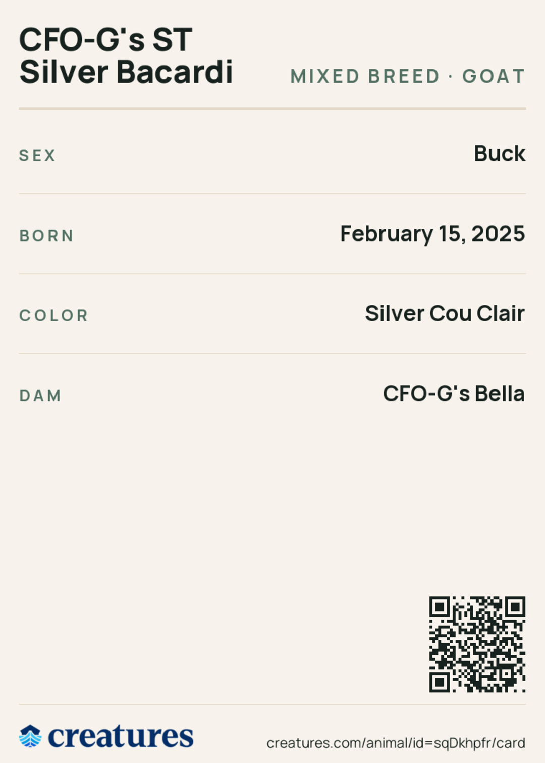 CFO-G's ST Silver Bacardi Creature Card back