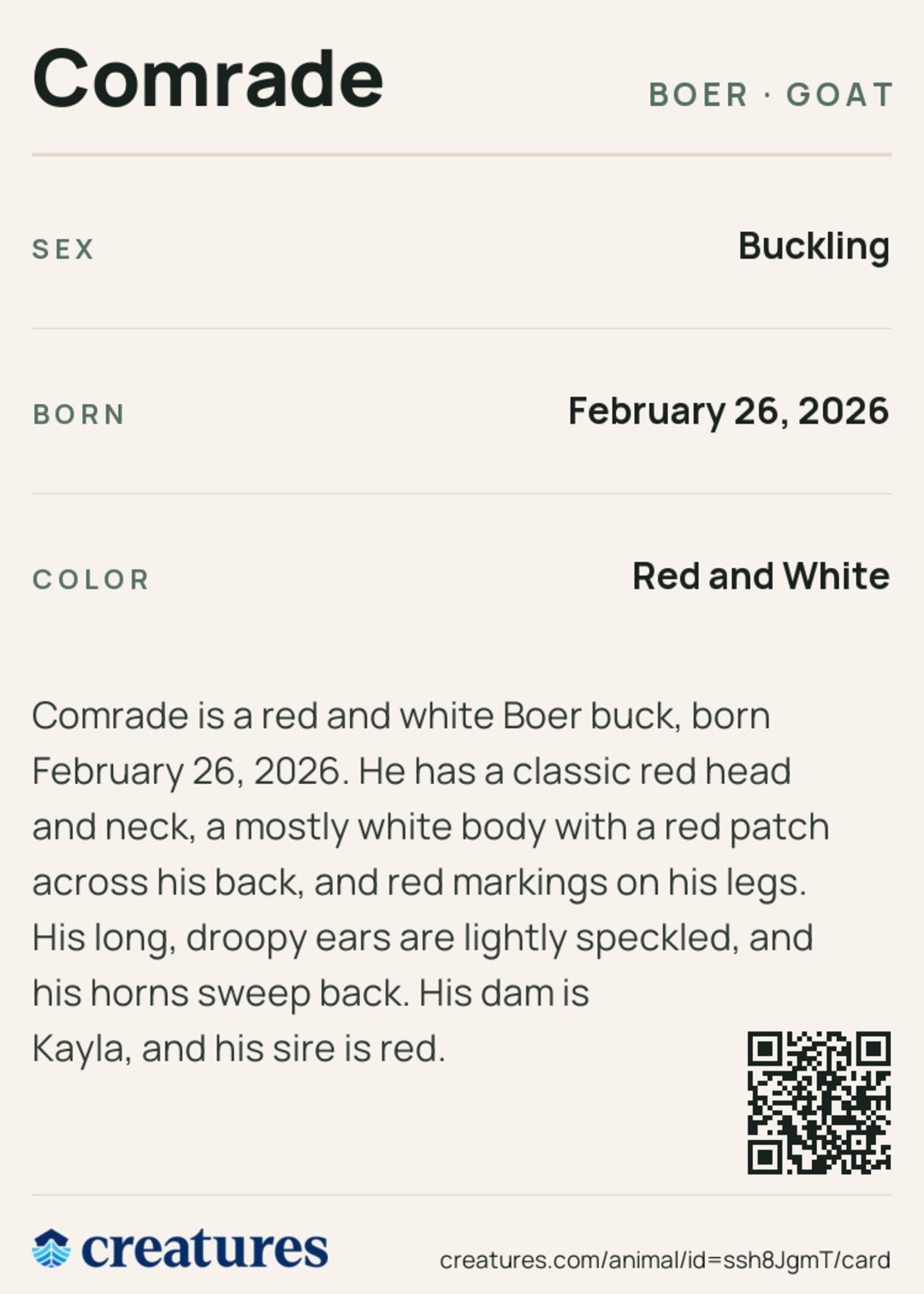 Comrade Creature Card back