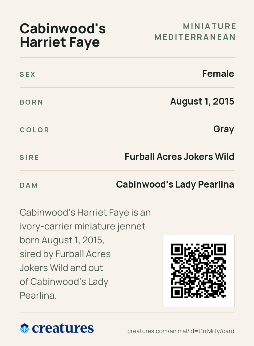 Cabinwood's Harriet Faye Creature Card back