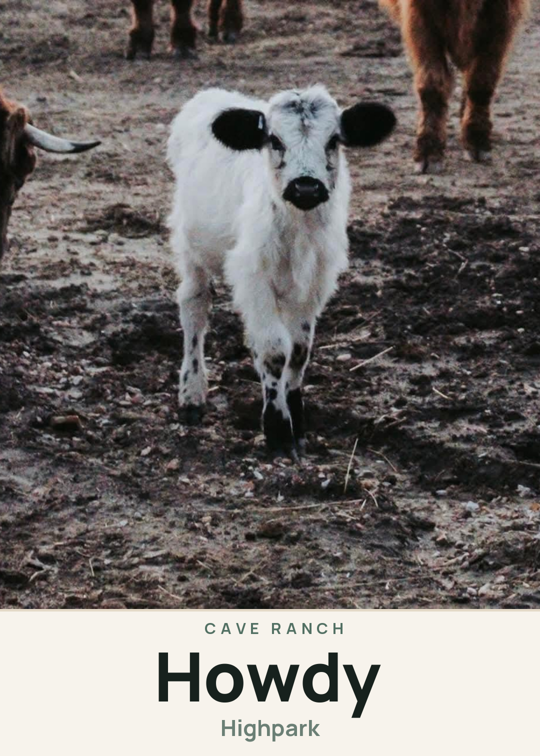 Howdy Creature Card