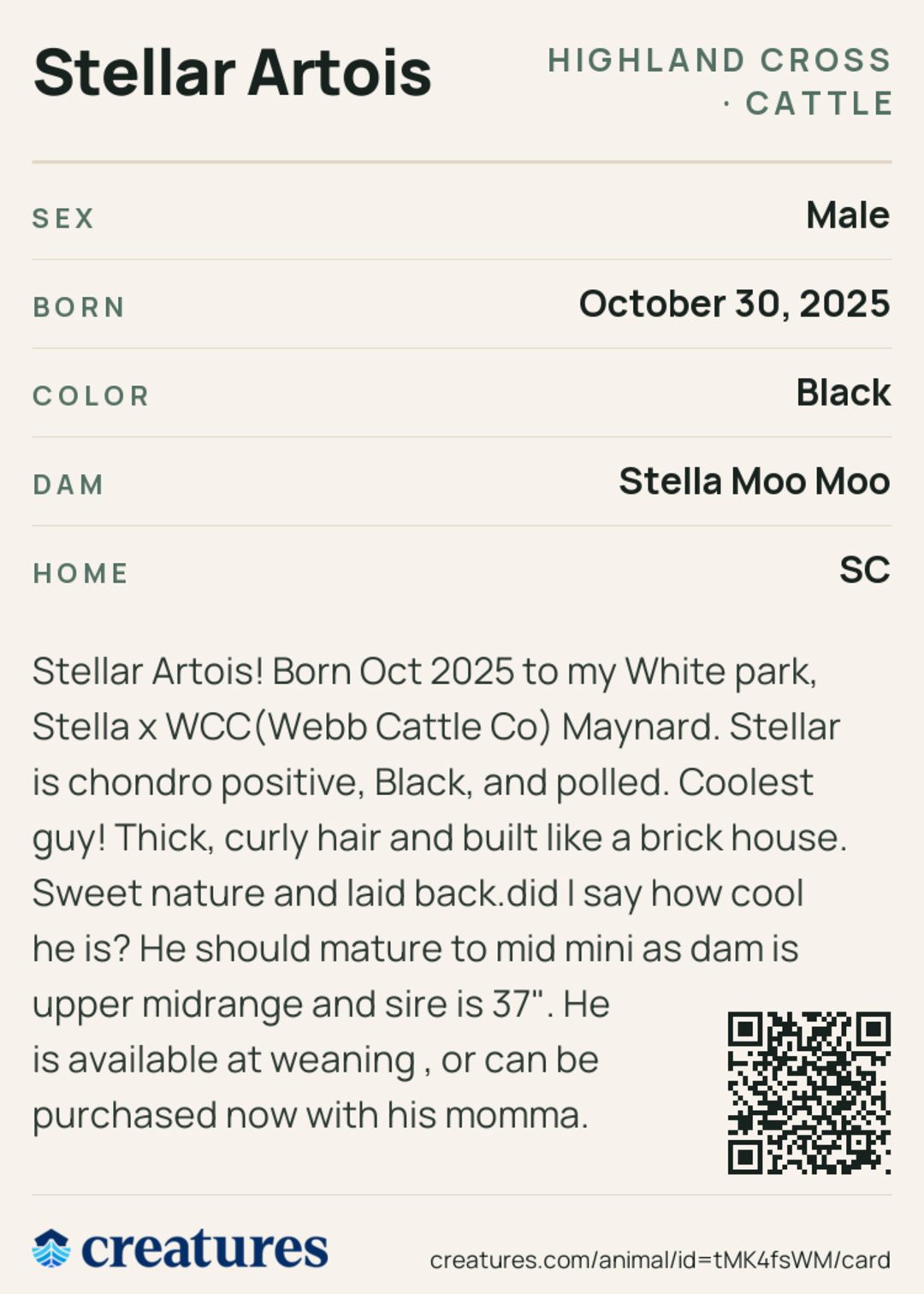 Stellar Artois Creature Card back