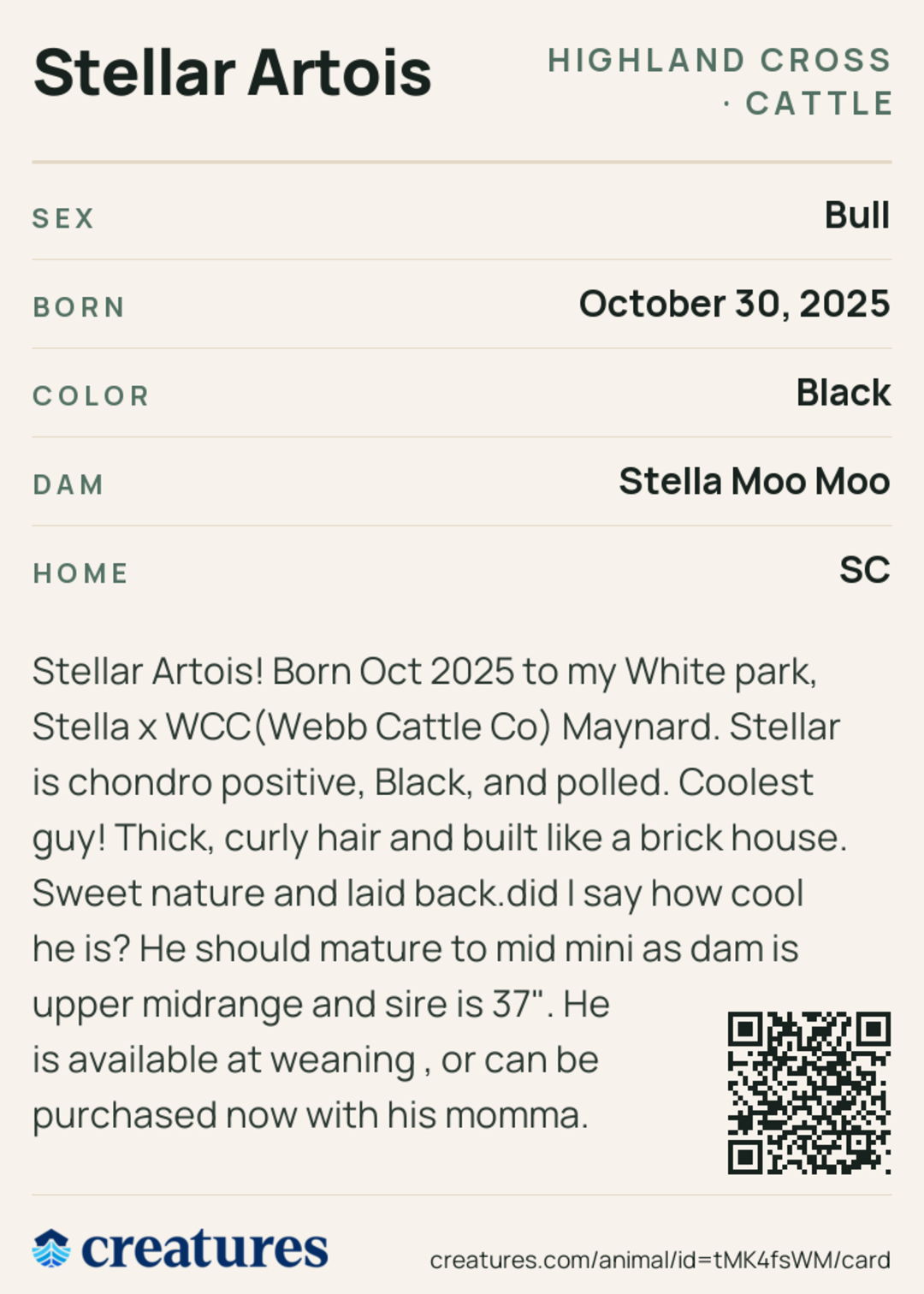 Stellar Artois Creature Card back