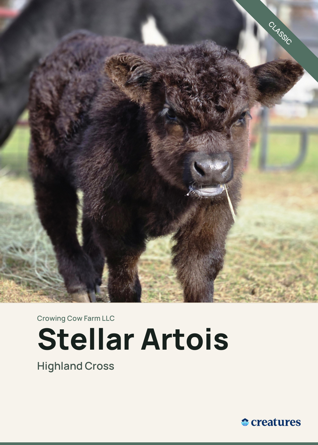 Stellar Artois Creature Card