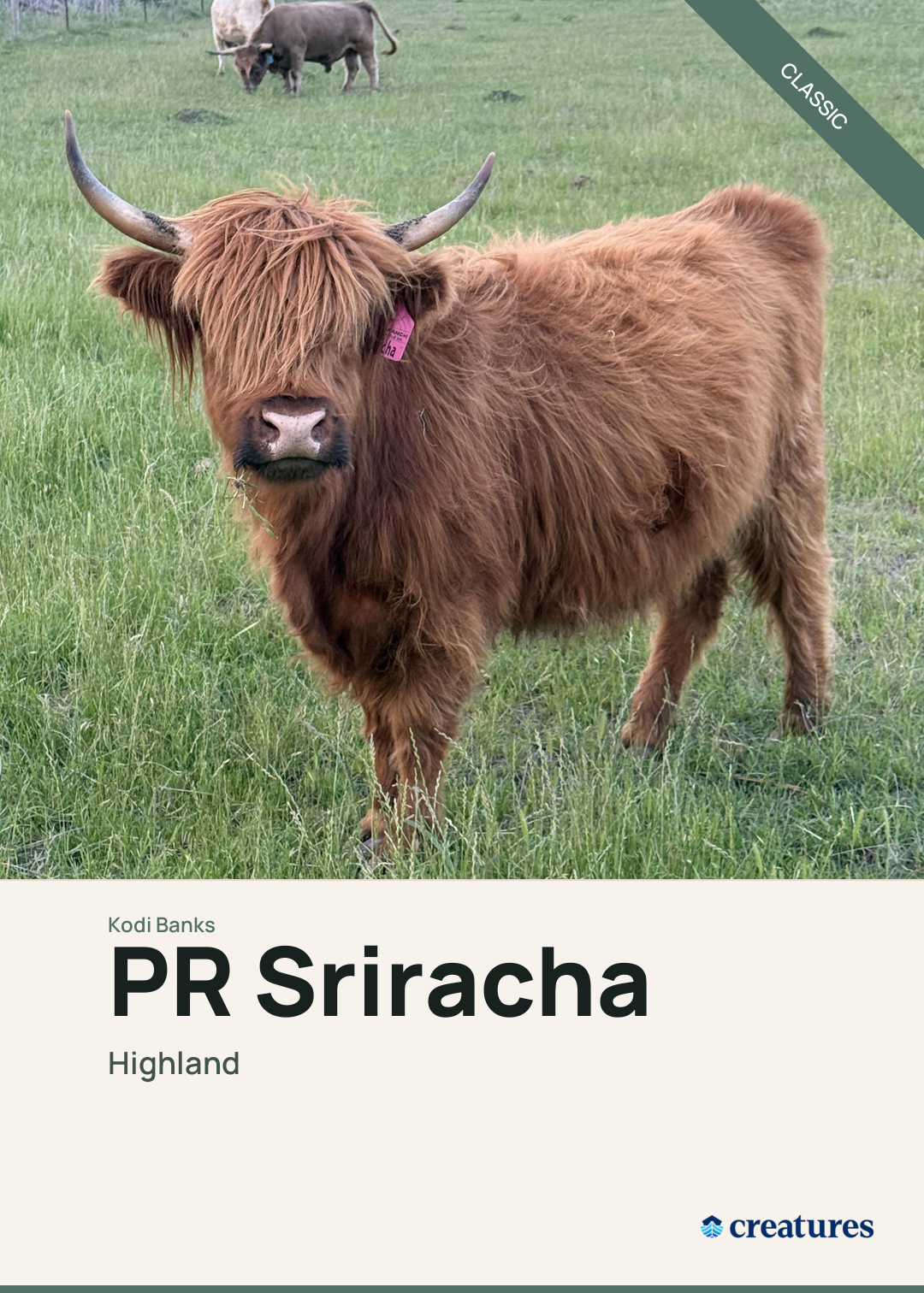 PR Sriracha Creature Card