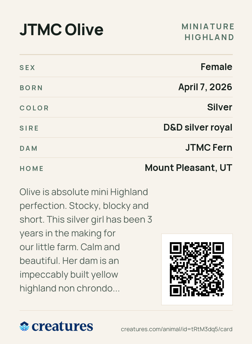 JTMC Olive Creature Card back