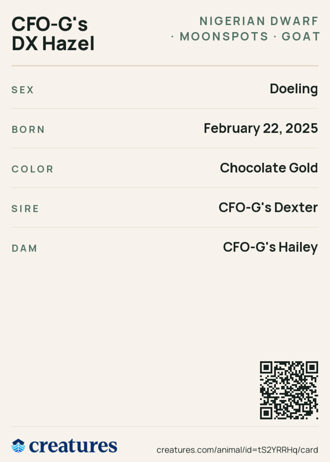 CFO-G's DX Hazel Creature Card back