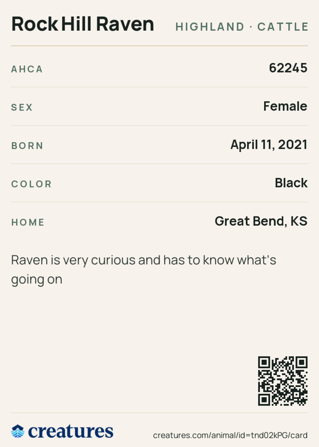 Rock Hill Raven Creature Card back