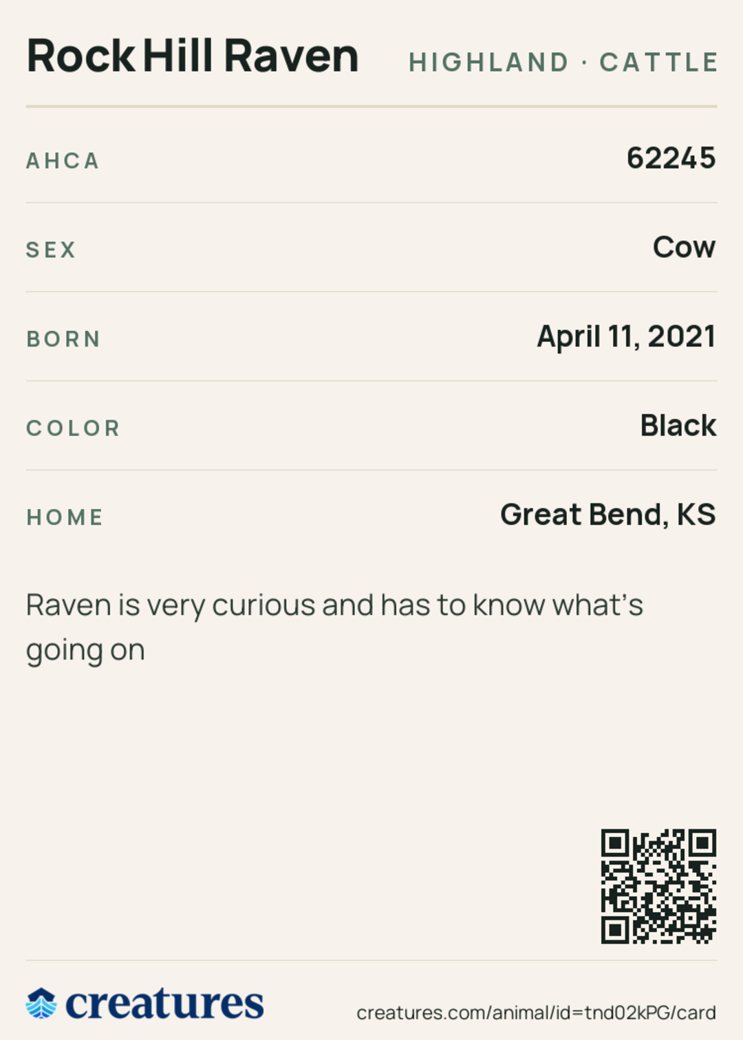 Rock Hill Raven Creature Card back