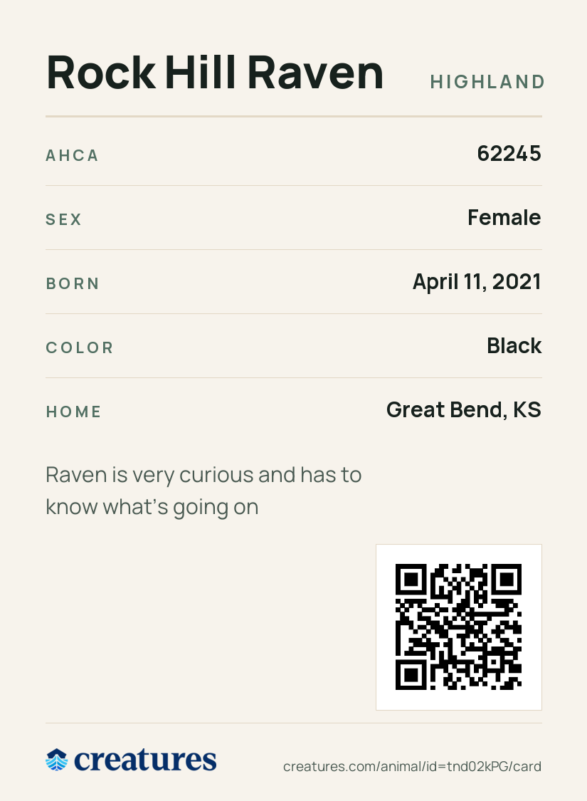 Rock Hill Raven Creature Card back