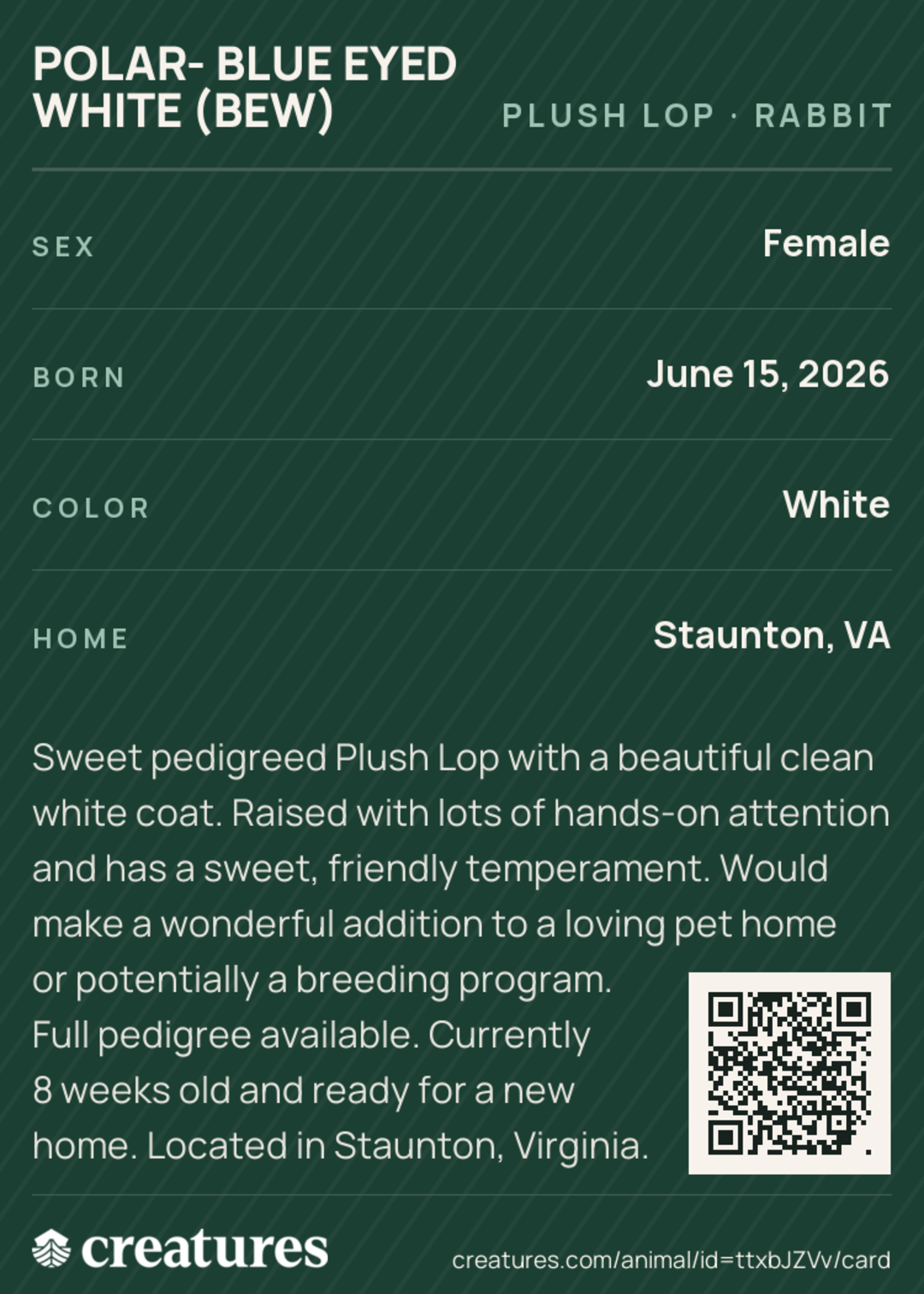 Polar- Blue Eyed White (BEW) Creature Card back