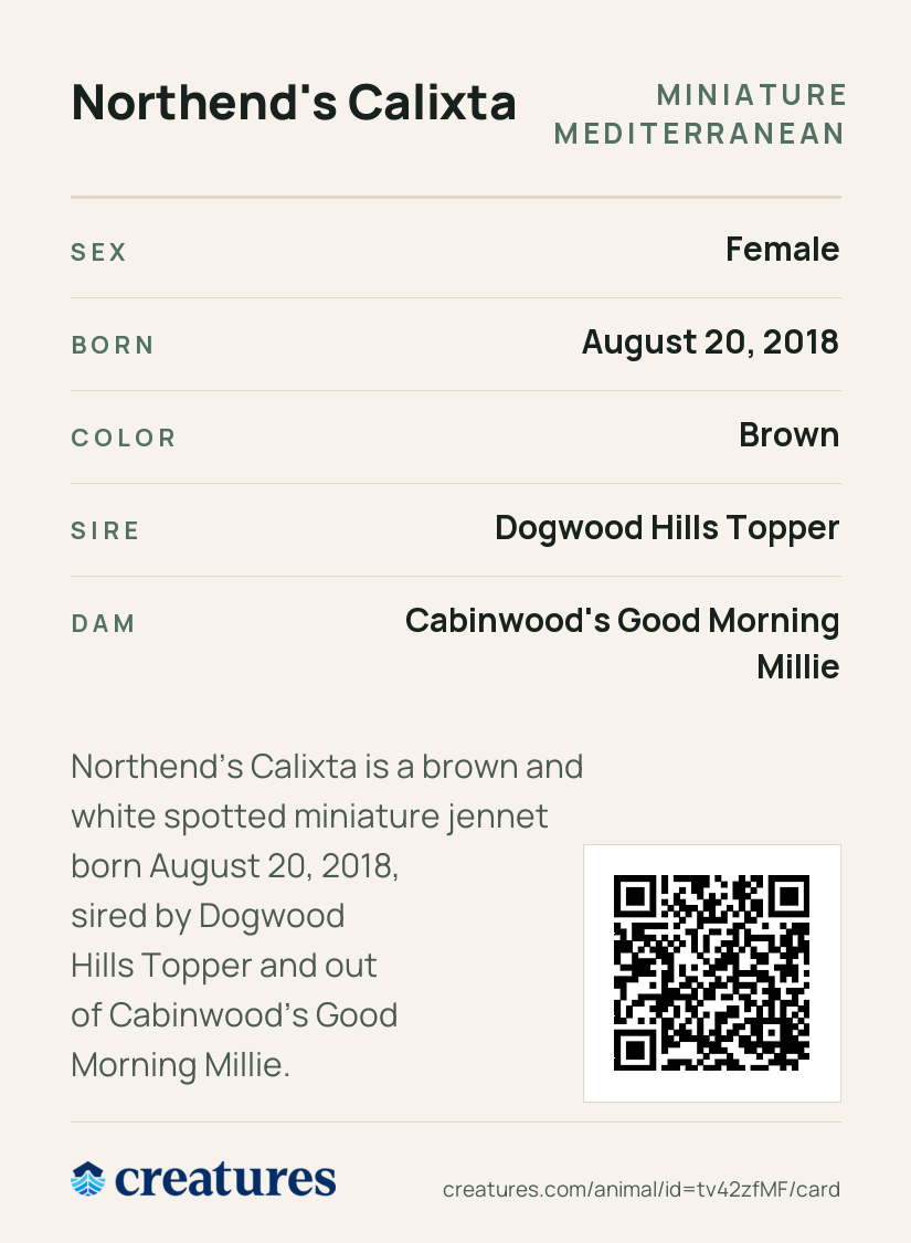 Northend's Calixta Creature Card back
