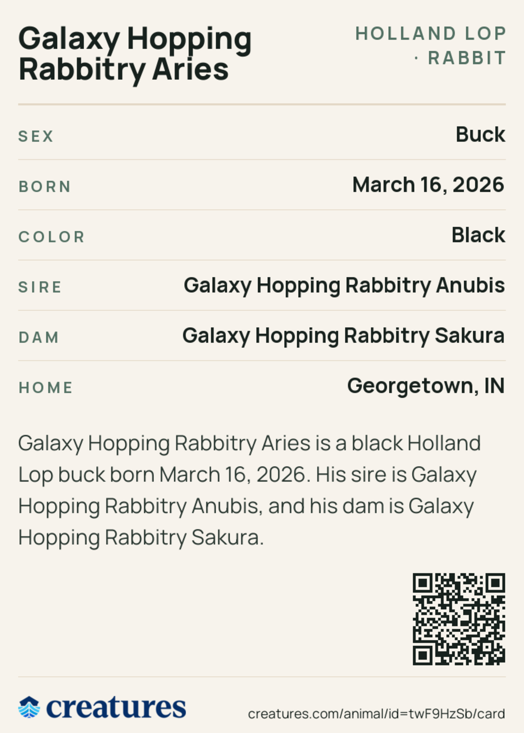 Galaxy Hopping Rabbitry Aries Creature Card back
