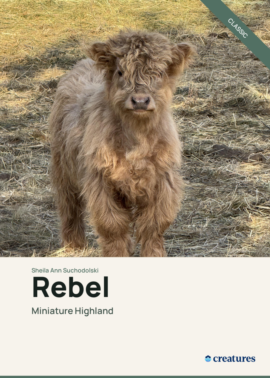 Rebel Creature Card