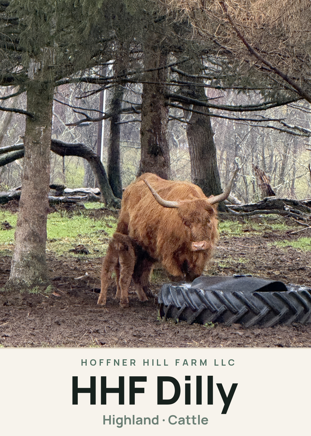 HHF Dilly Creature Card