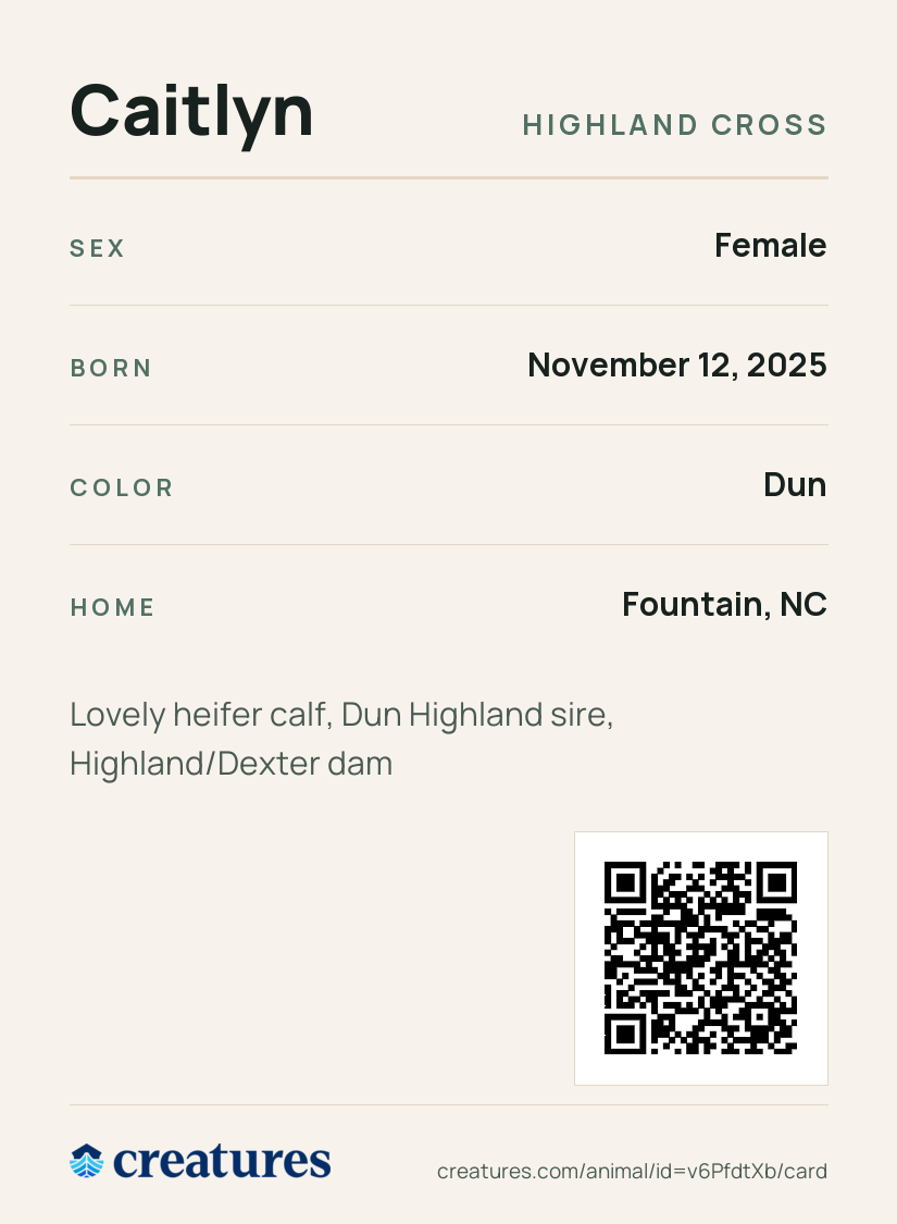 Caitlyn Creature Card back