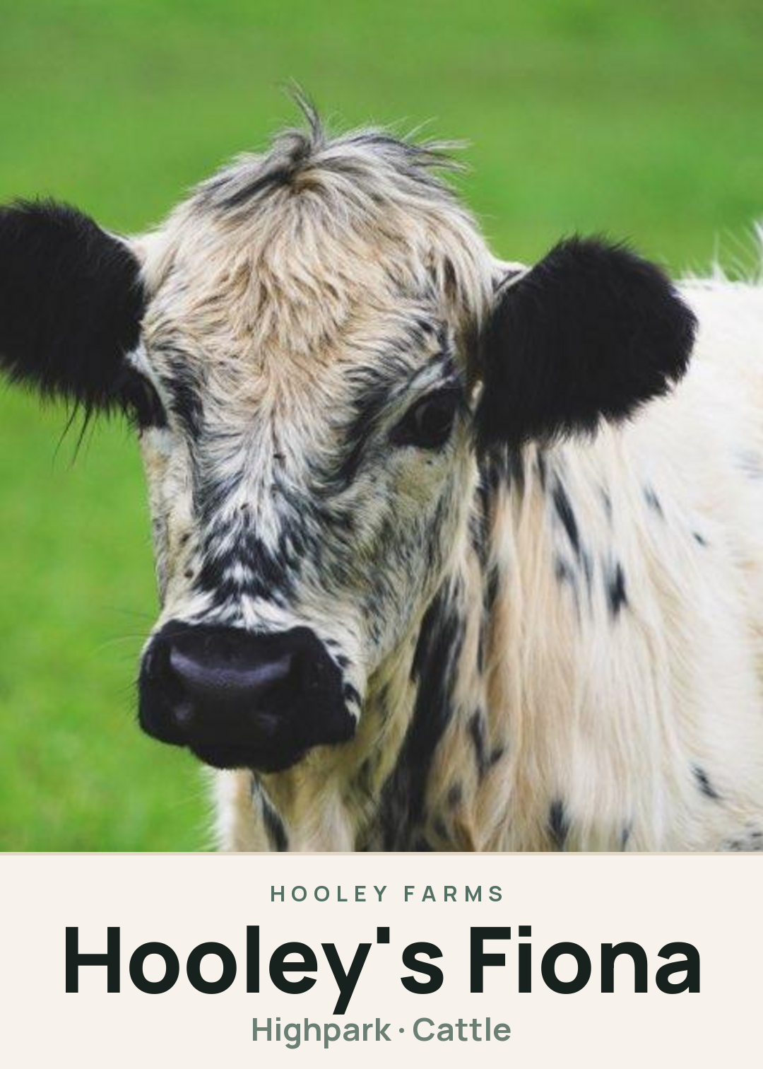 Hooley's Fiona Creature Card