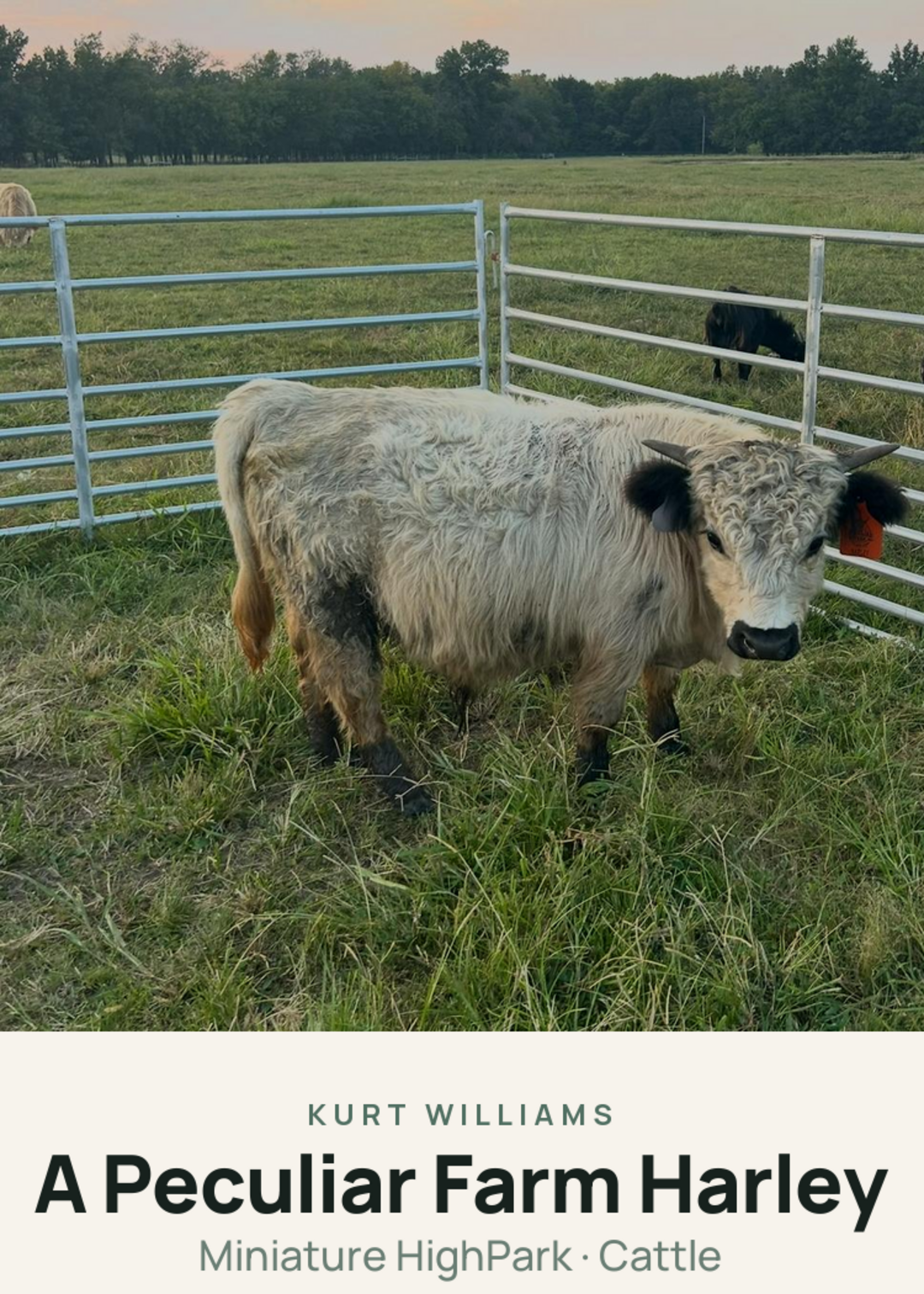 A Peculiar Farm Harley Creature Card