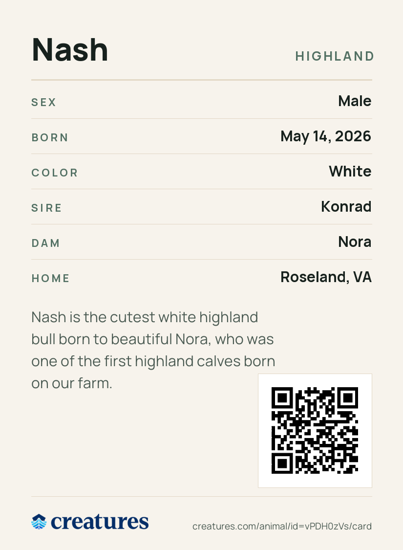 Nash Creature Card back