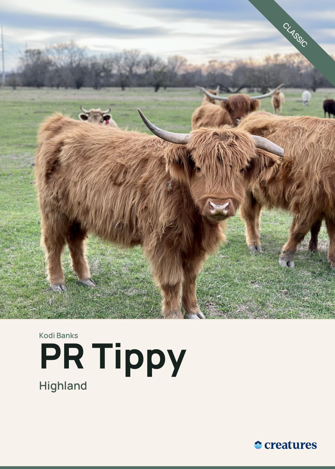 PR Tippy Creature Card