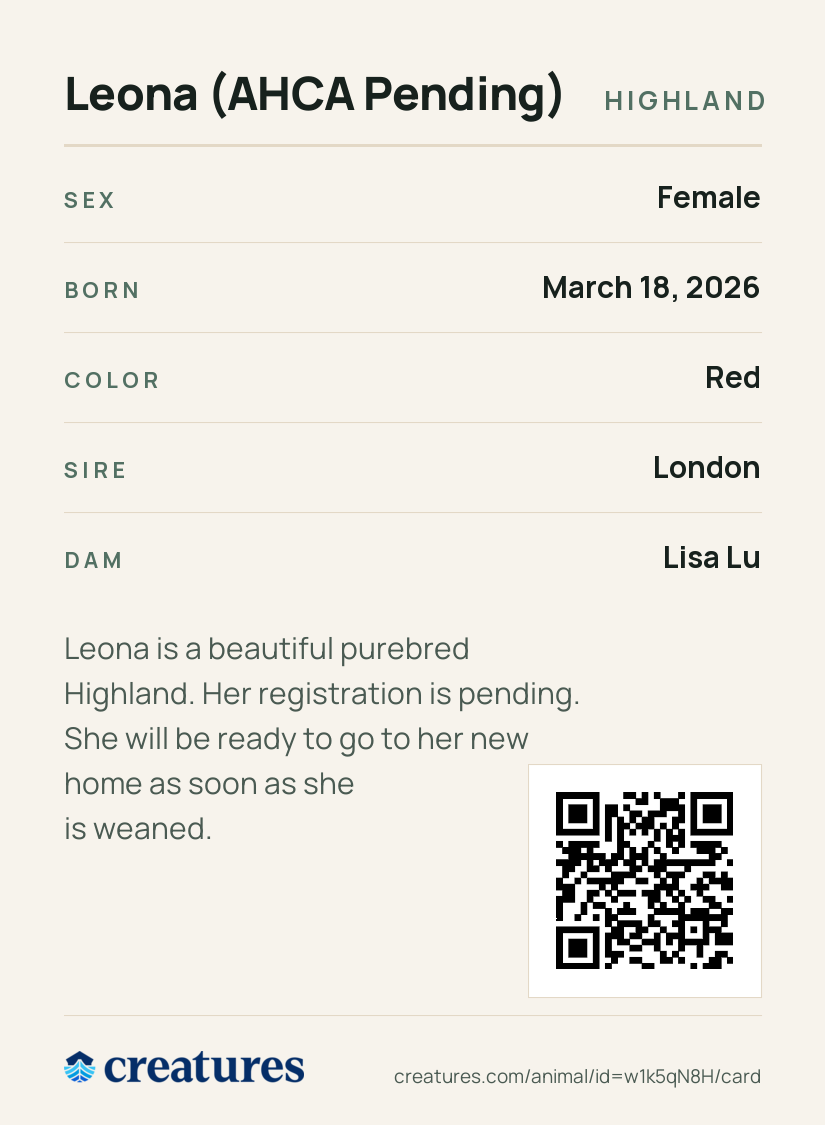 Leona (AHCA Pending) Creature Card back