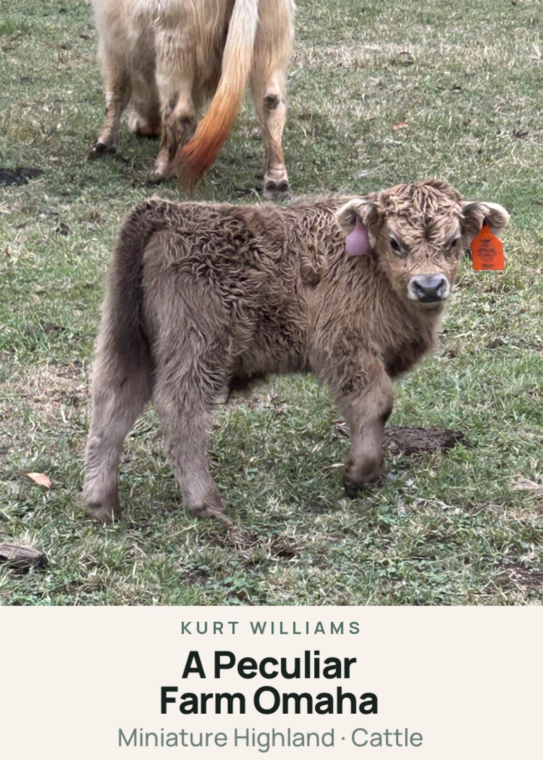 A Peculiar Farm Omaha Creature Card