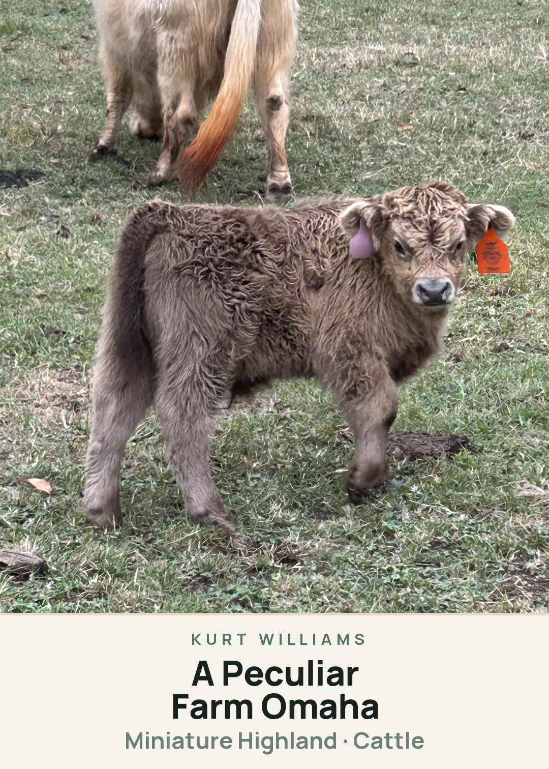 A Peculiar Farm Omaha Creature Card