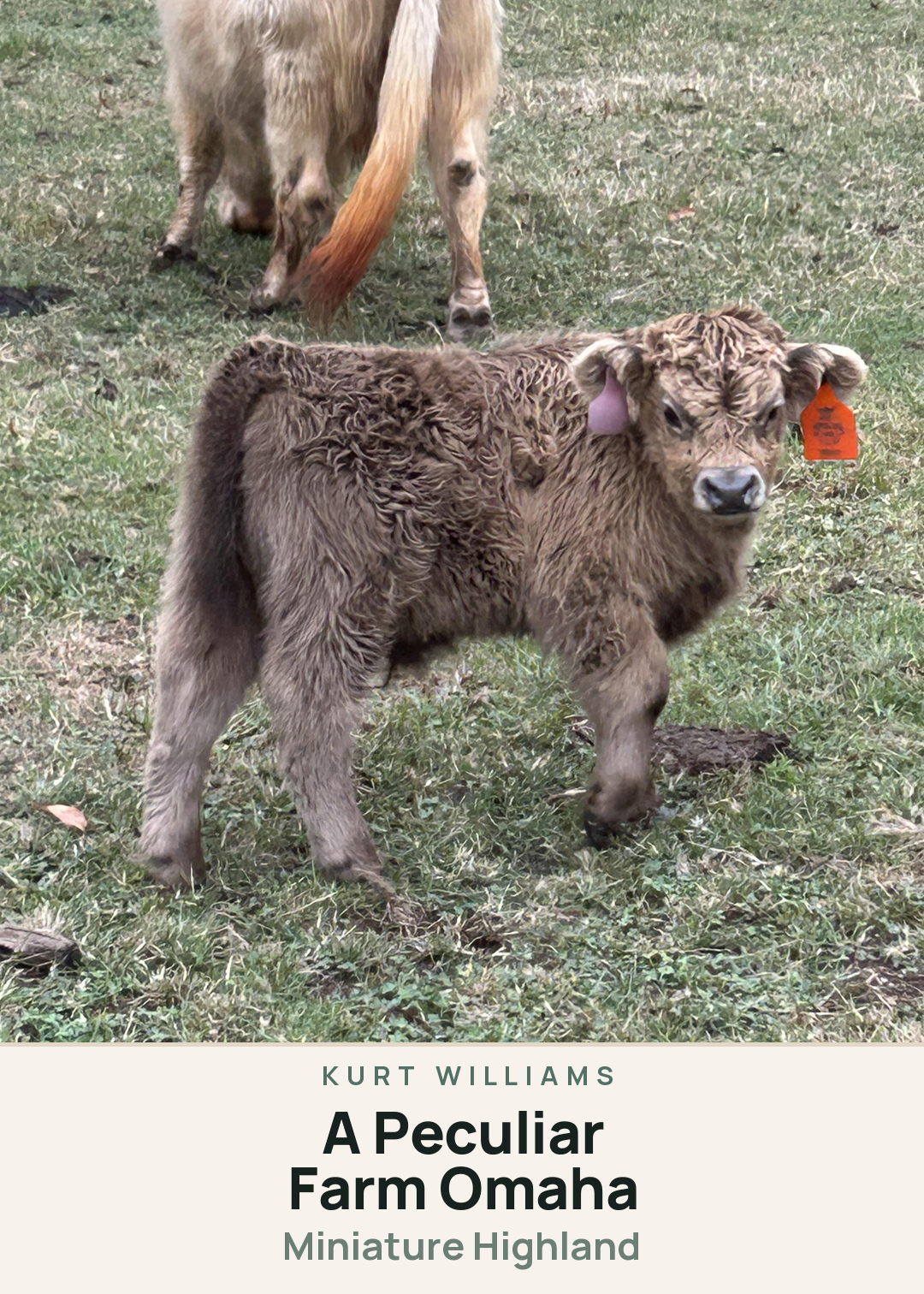 A Peculiar Farm Omaha Creature Card