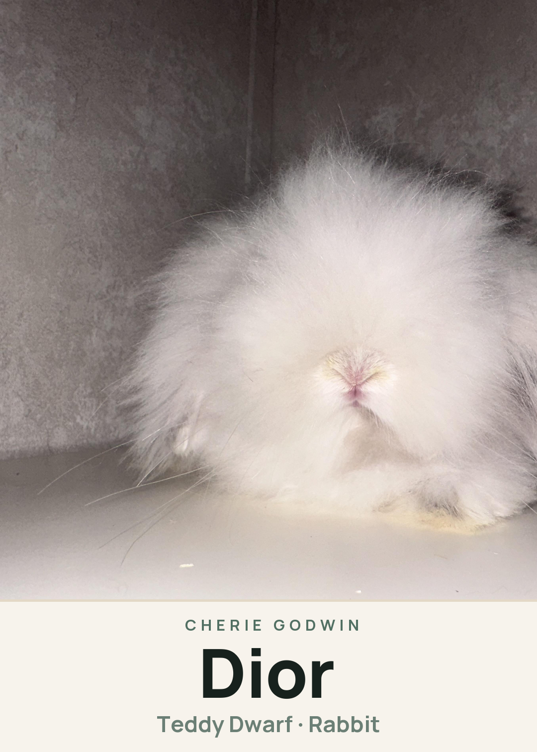 Dior Creature Card
