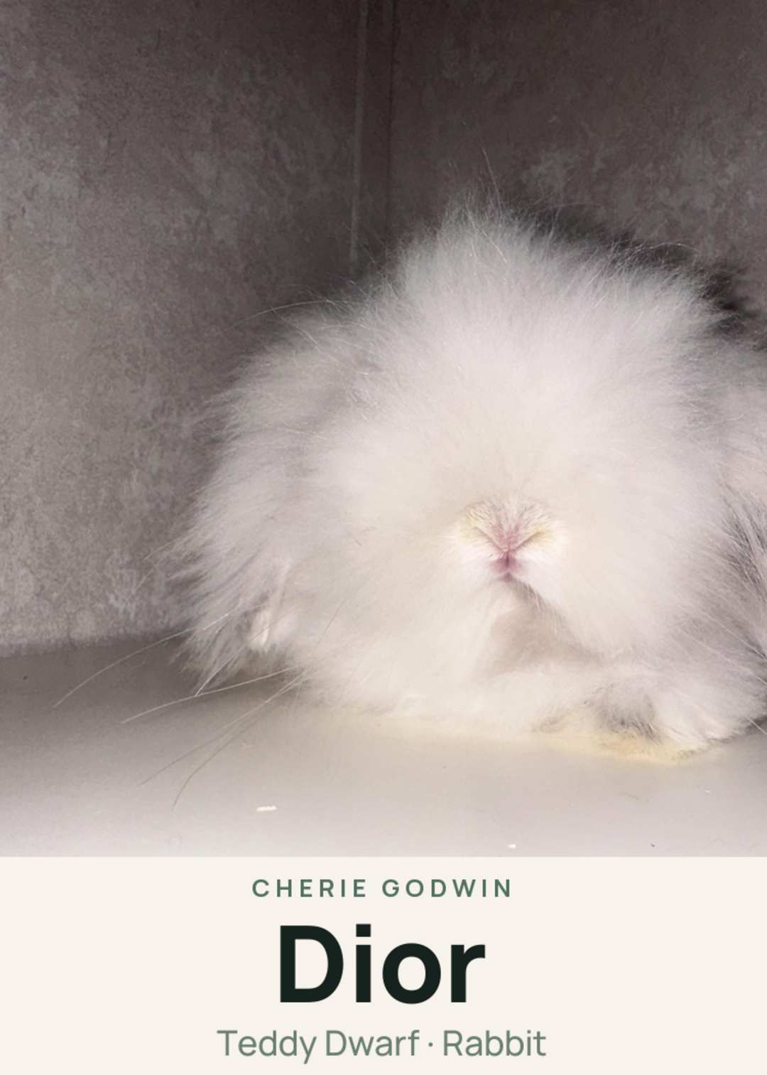 Dior Creature Card