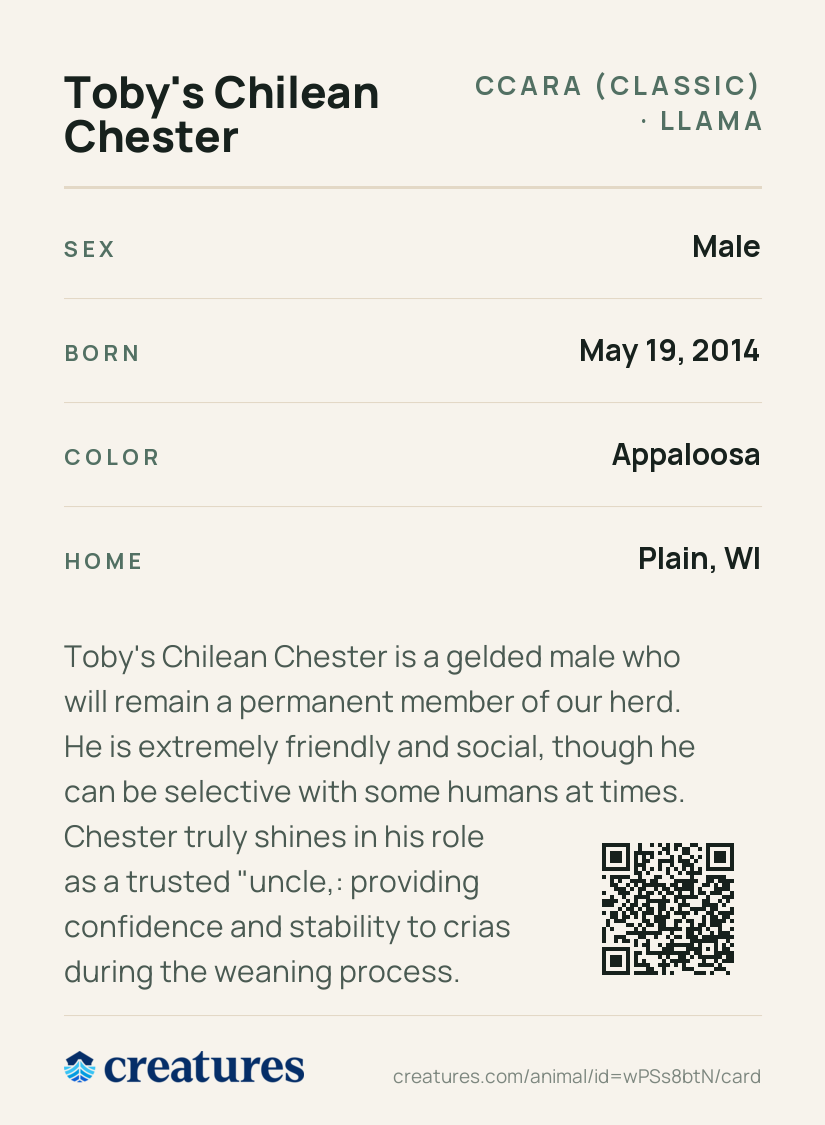 Toby's Chilean Chester Creature Card back