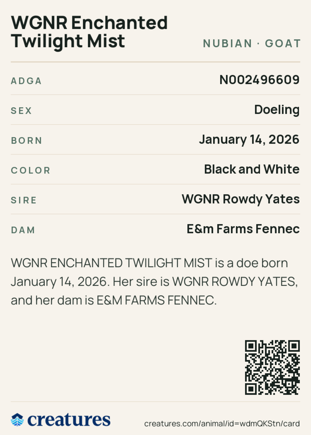 WGNR Enchanted Twilight Mist Creature Card back