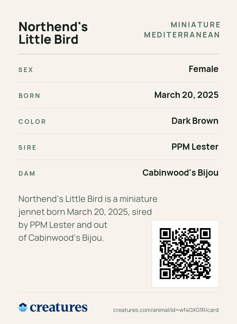 Northend's Little Bird Creature Card back