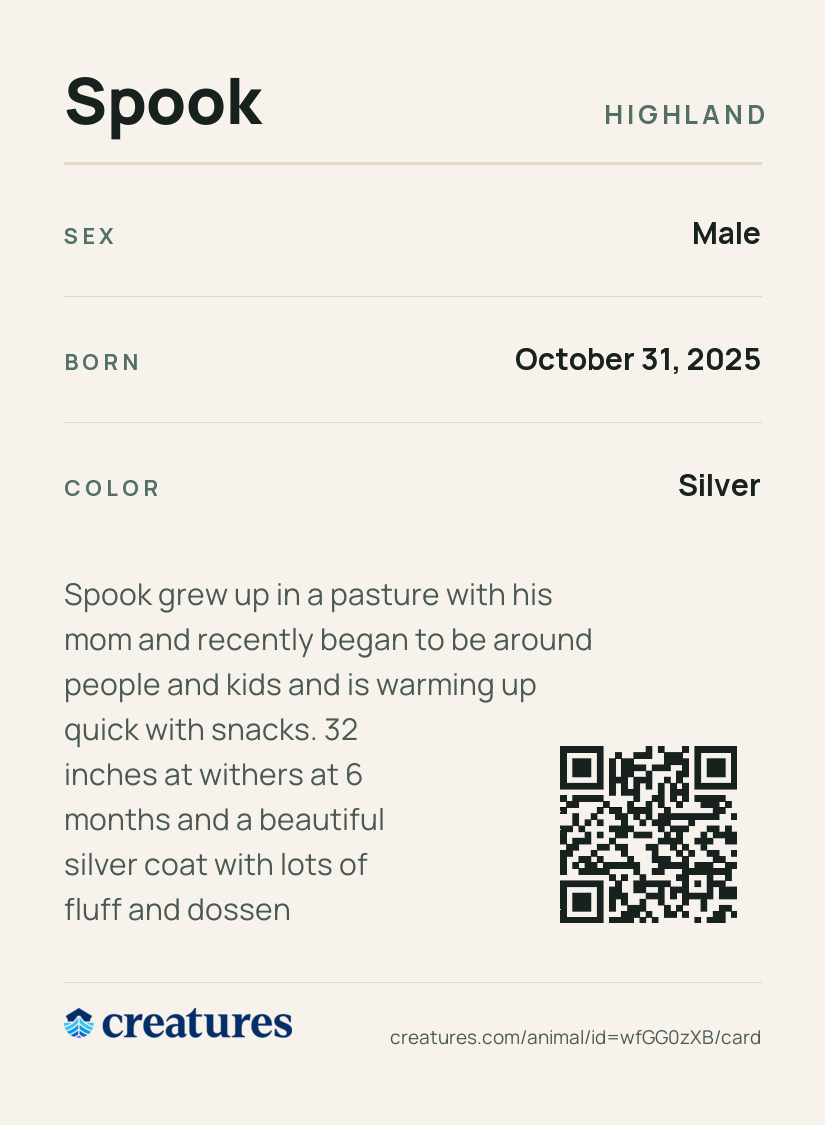 Spook Creature Card back