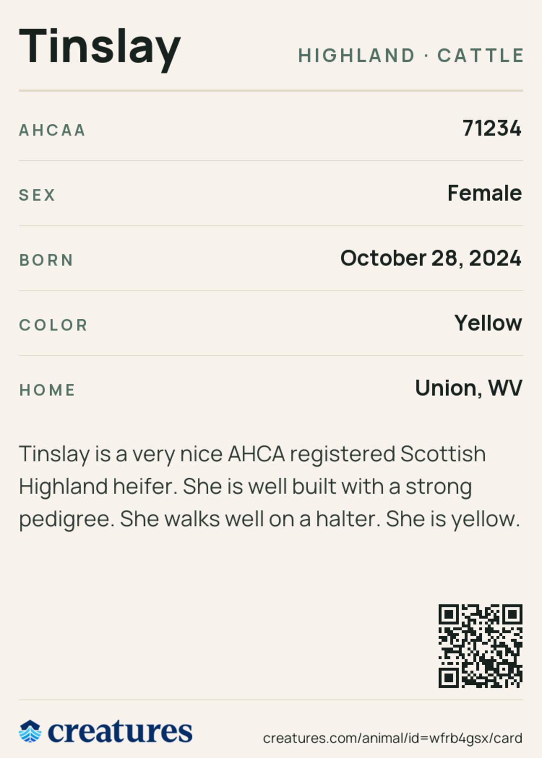 Tinslay Creature Card back