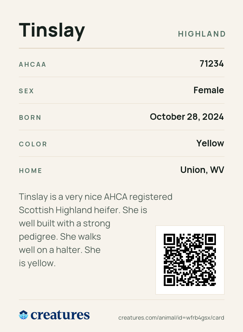 Tinslay Creature Card back