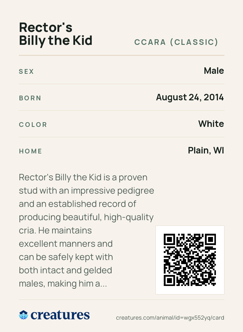 Rector's Billy the Kid Creature Card back