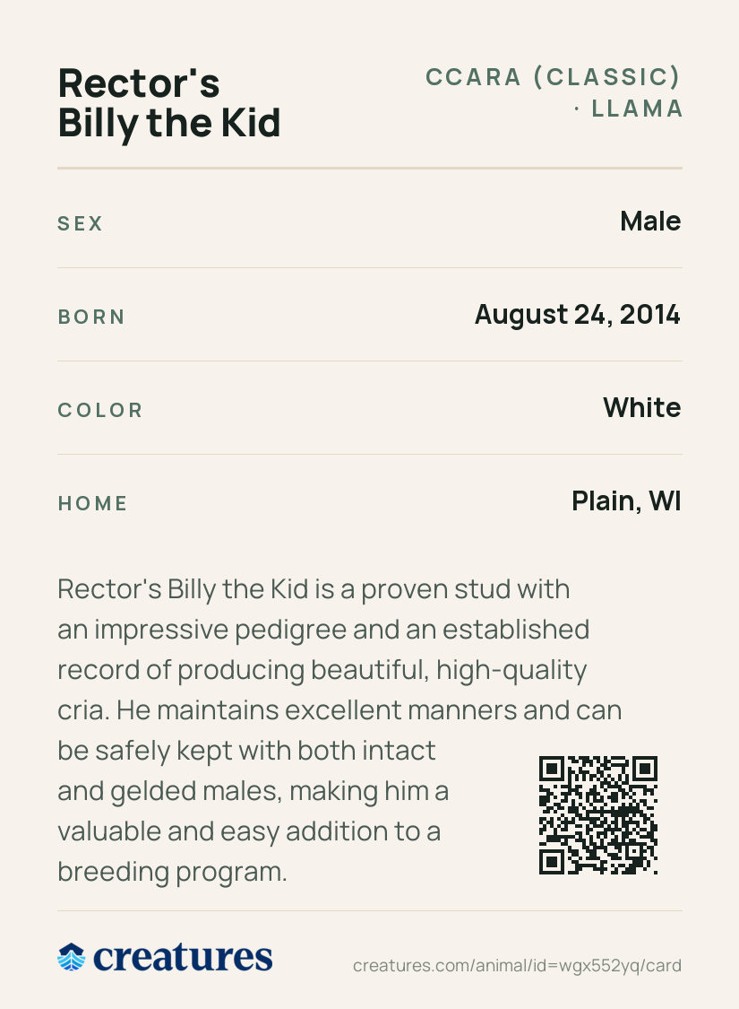 Rector's Billy the Kid Creature Card back