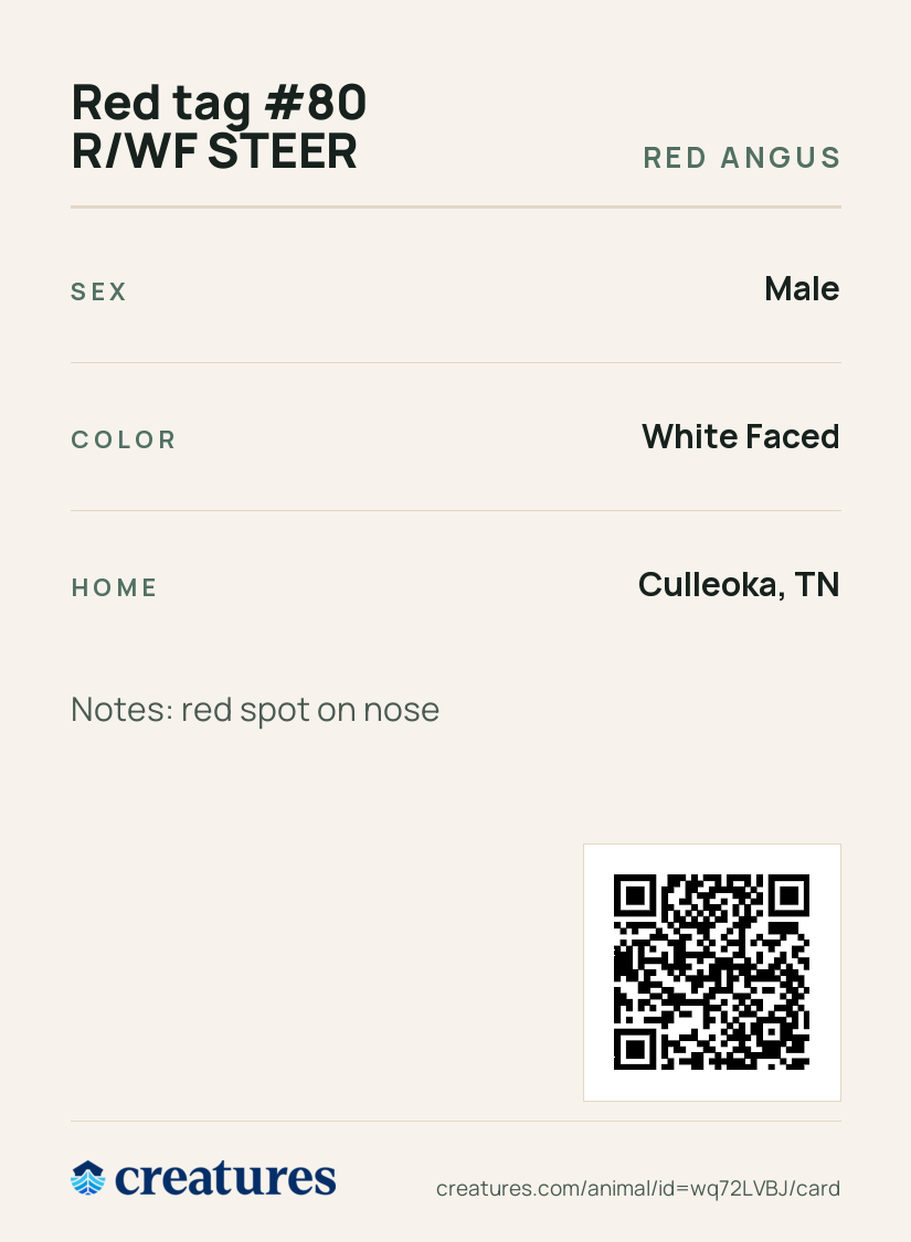 Red tag #80 R/WF STEER Creature Card back