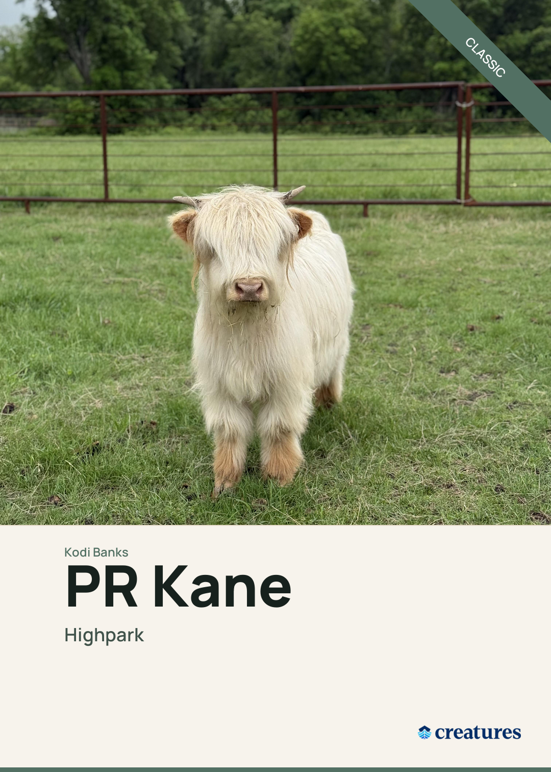 PR Kane Creature Card