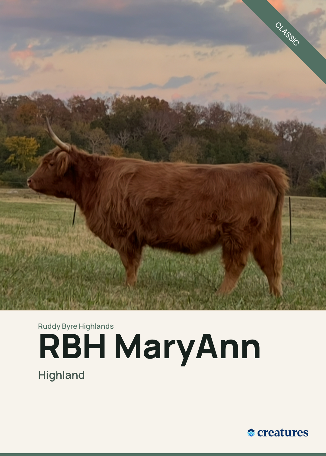 RBH MaryAnn Creature Card