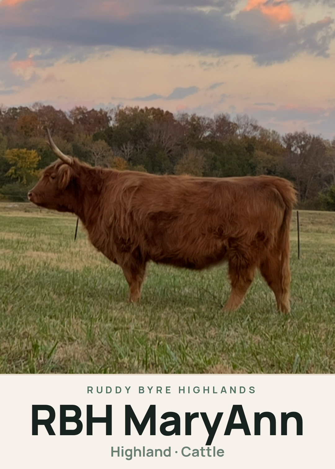 RBH MaryAnn Creature Card