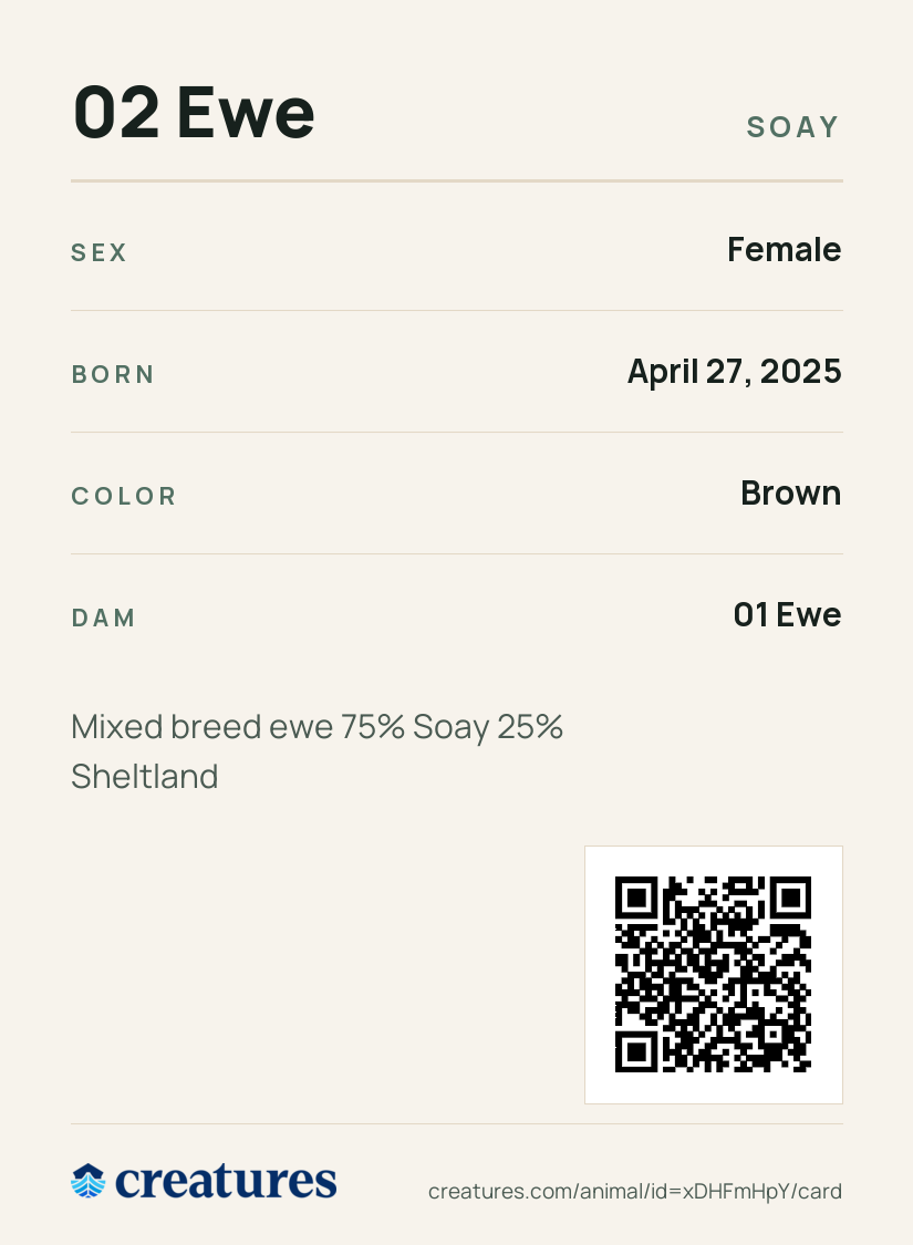 02 Ewe Creature Card back