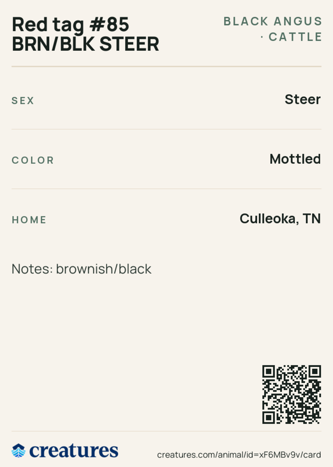Red tag #85 BRN/BLK STEER Creature Card back