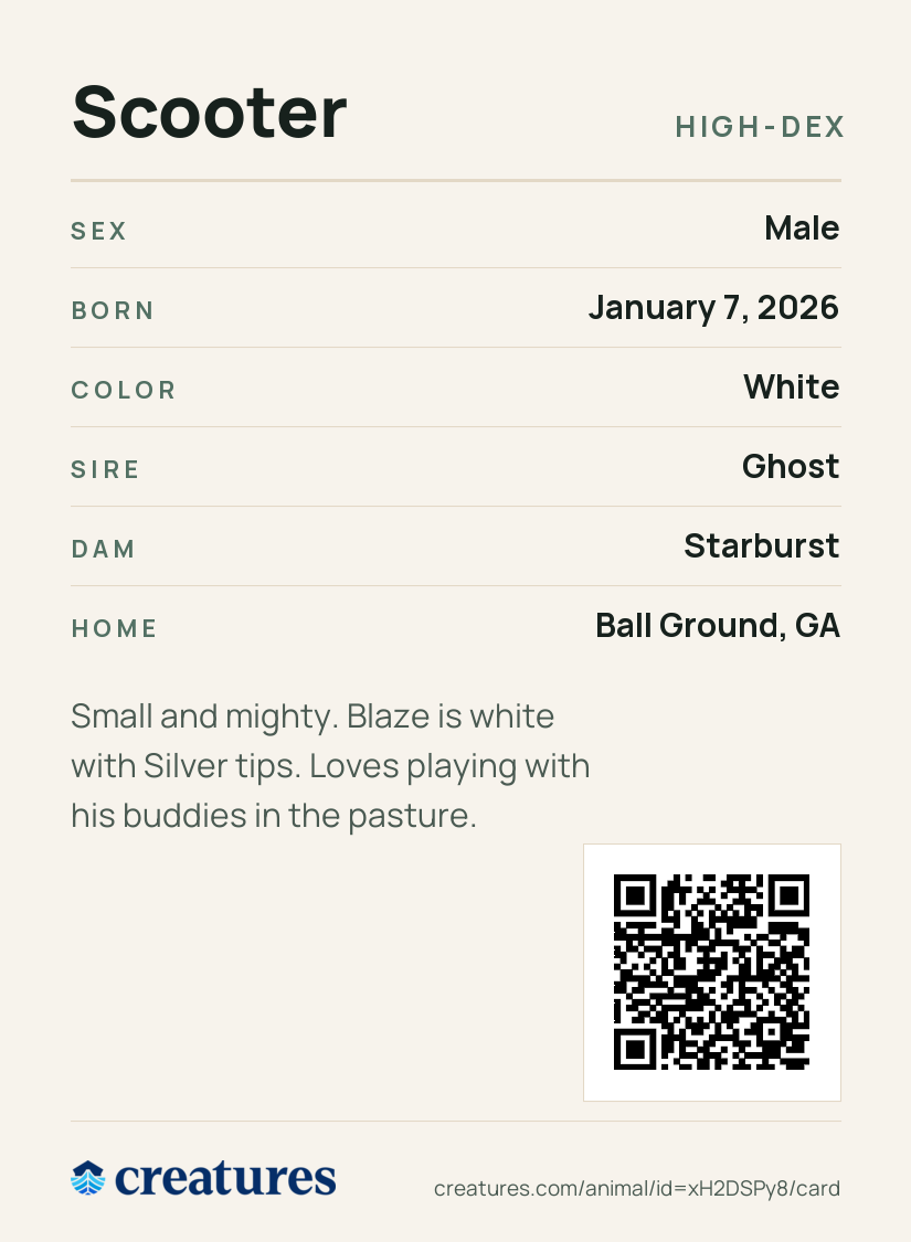 Scooter Creature Card back