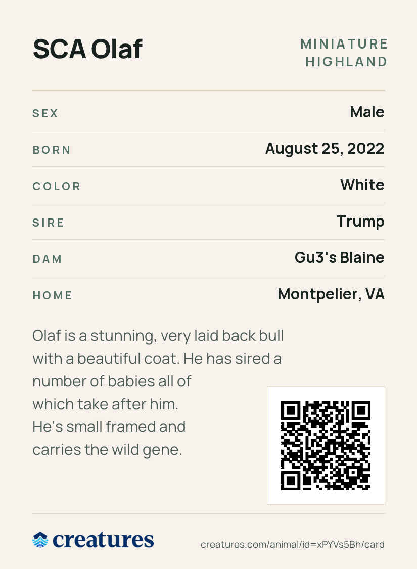 SCA Olaf Creature Card back