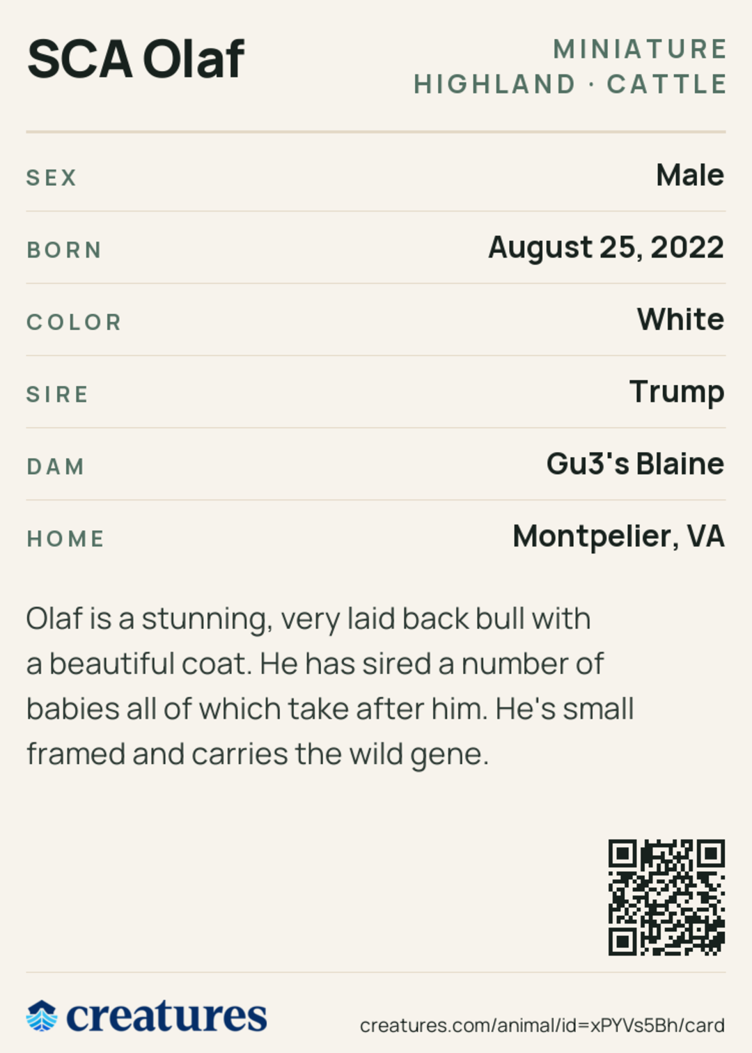 SCA Olaf Creature Card back